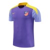 Atlético Madrid Trenings Skjorter 2025-26 Lilla - Herre